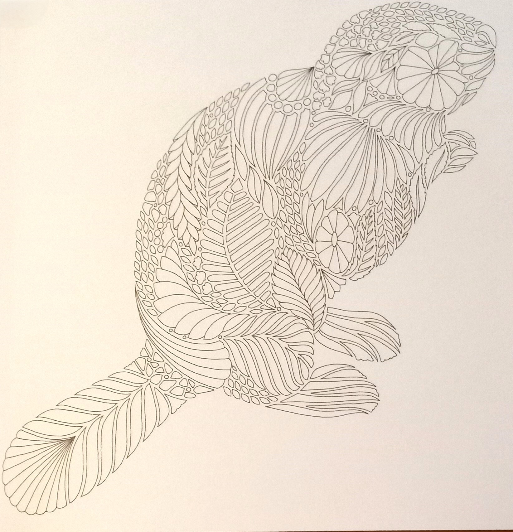 Curious Creatures - kapesni